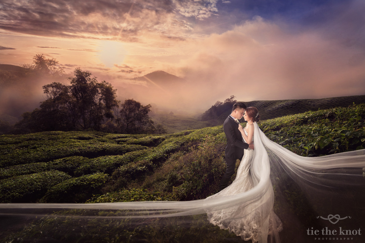 Nicholas & Samantha PreWedding