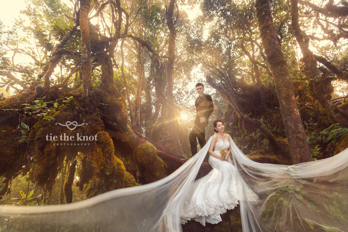 Nicholas & Samantha PreWedding