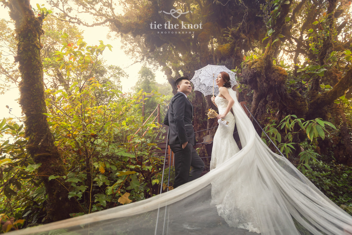 Nicholas & Samantha PreWedding